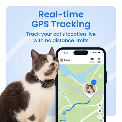 Smart Cat GPS Tracker with Real-Time Location and Wellness Monitoring