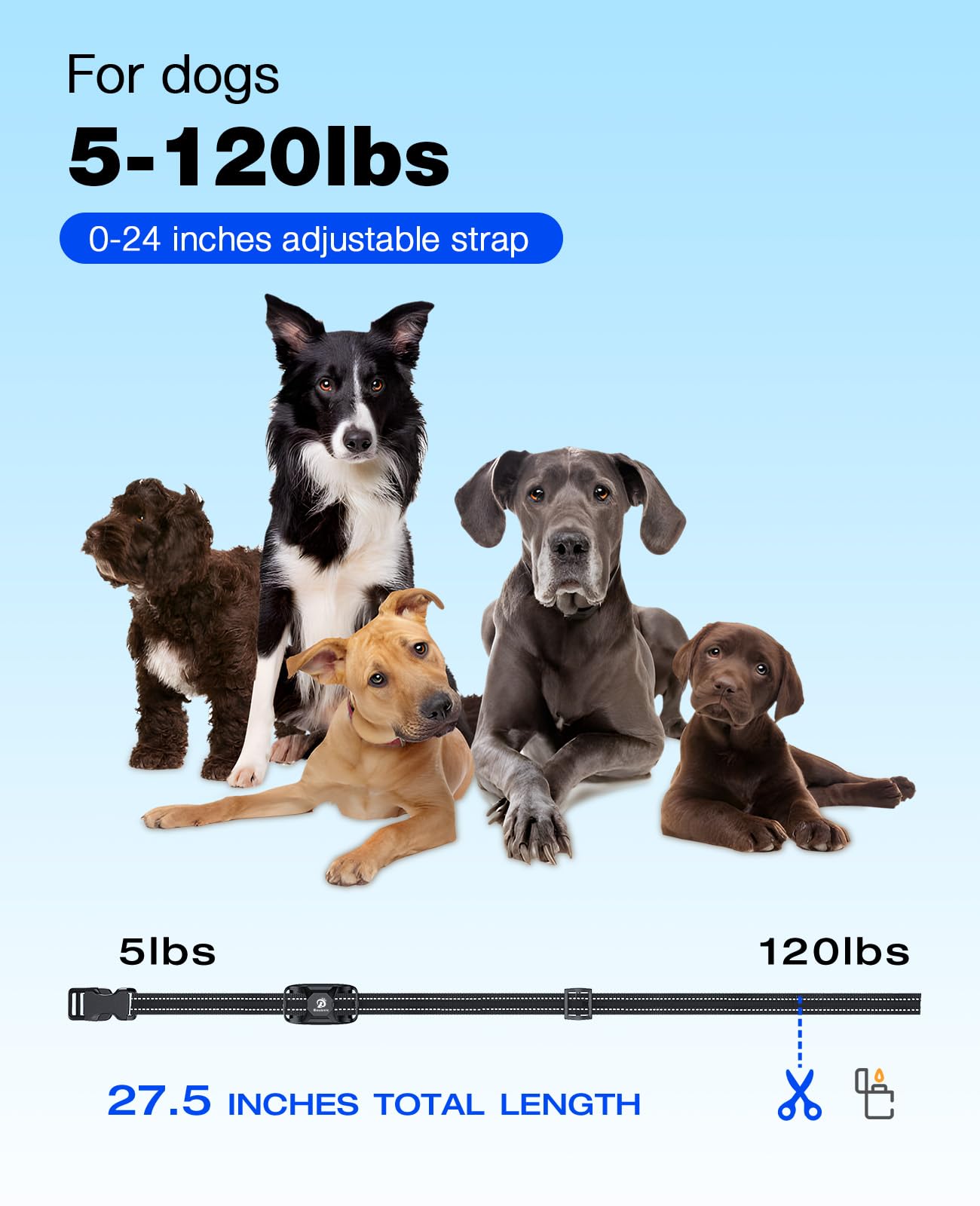 Bousnic Dog Training Collar with Remote