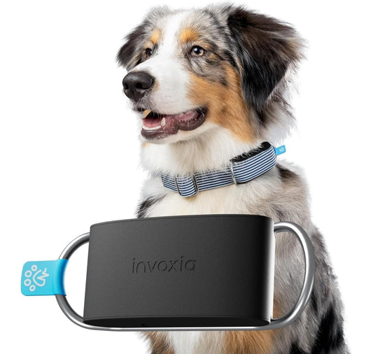 Smart Dog Health and GPS Tracker with Wellness Monitoring