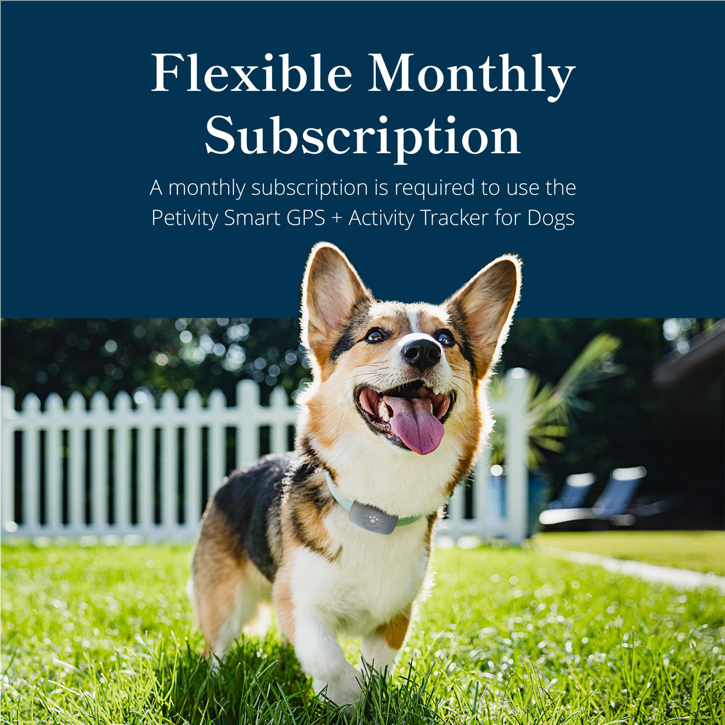petivity Dog GPS Tracker Powered by Purina, Waterproof Real Time Tracking GPS Dog Collar, Downloadable App, Subscription Required