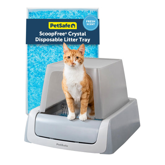 Smart Automatic Litter Box with Health Monitoring and App Control