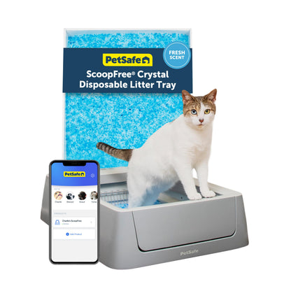 Smart Automatic Litter Box with Health Monitoring and App Control