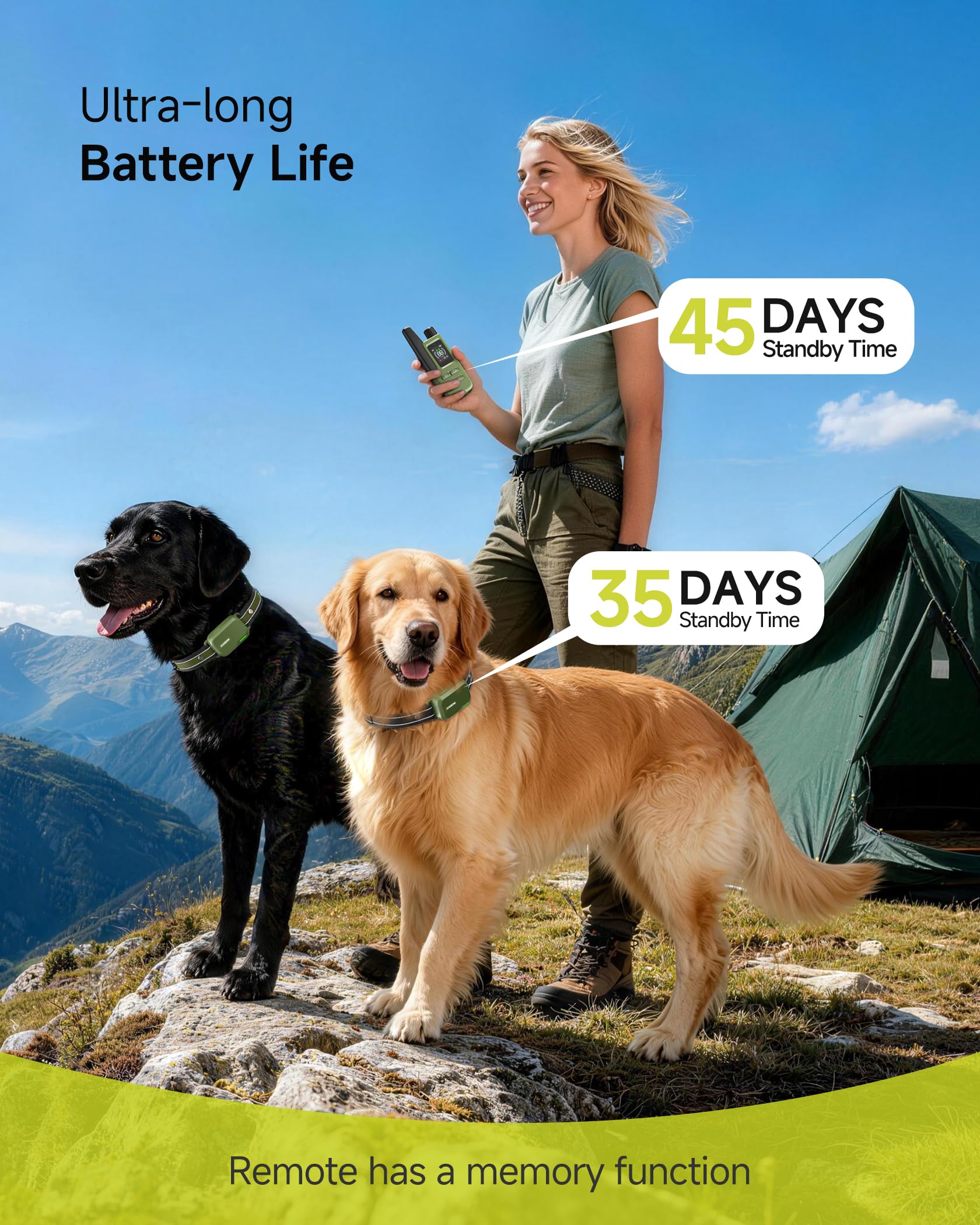 Waterproof Dog Training Collar with Remote and 4 Training Modes