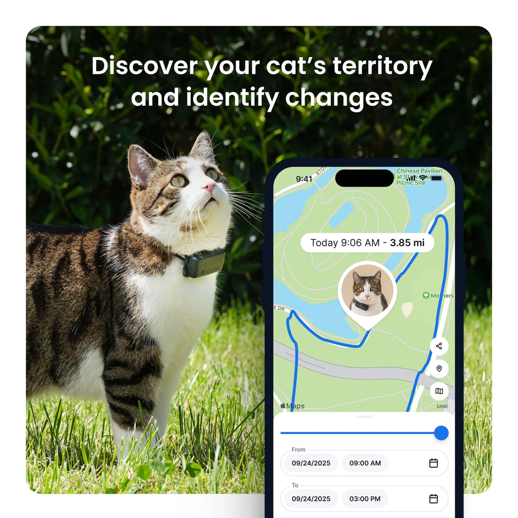 Smart GPS Pet Tracker with Real-Time Location Monitoring
