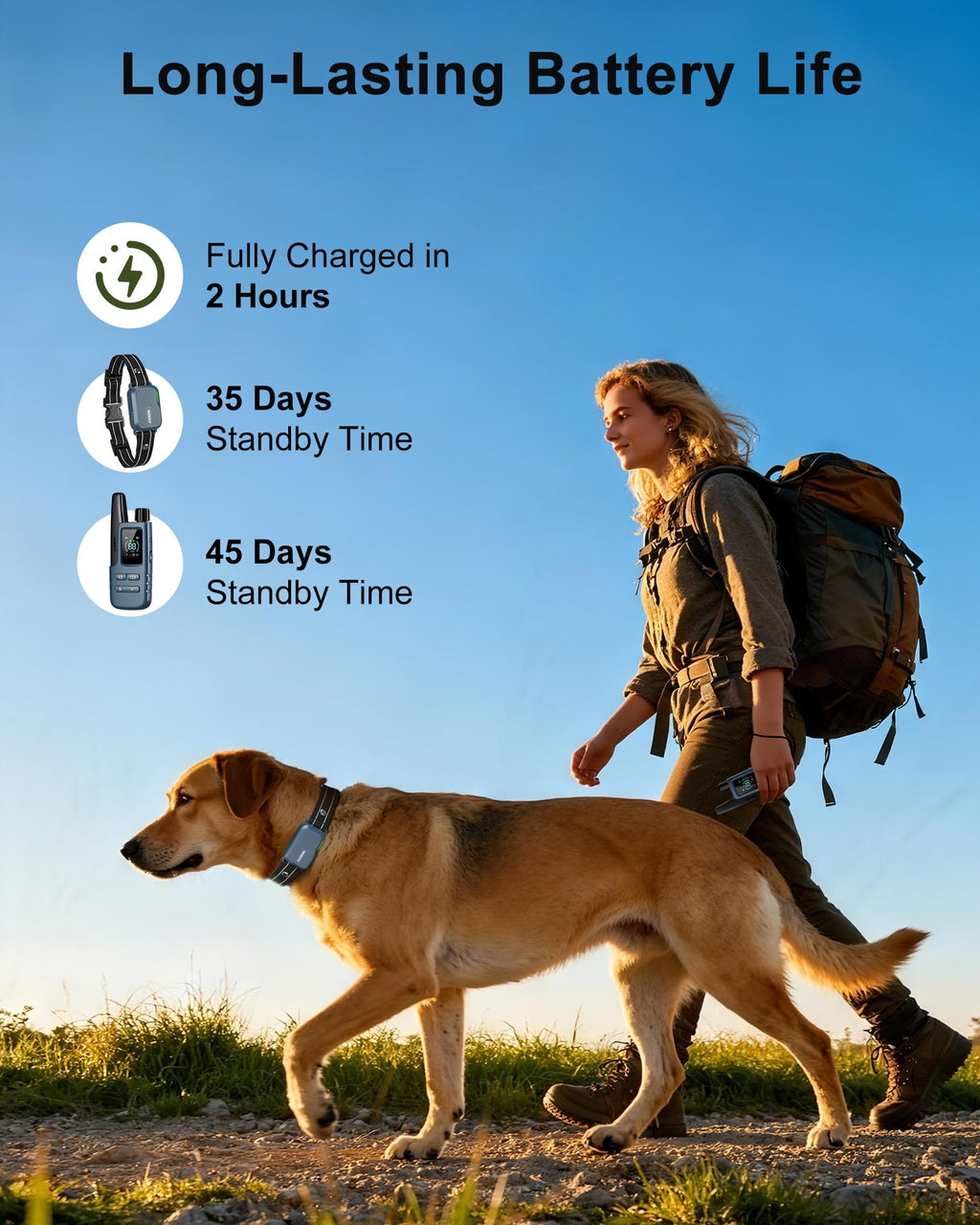Waterproof Dog Training Collar with Remote and Multiple Training Modes