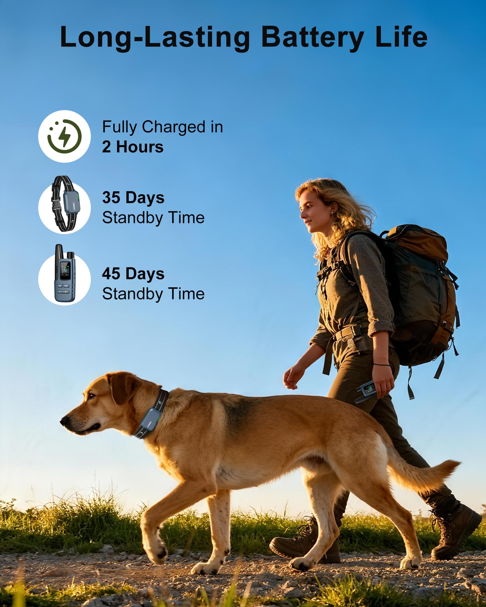 Waterproof Dog Training Collar with Remote and Multiple Training Modes