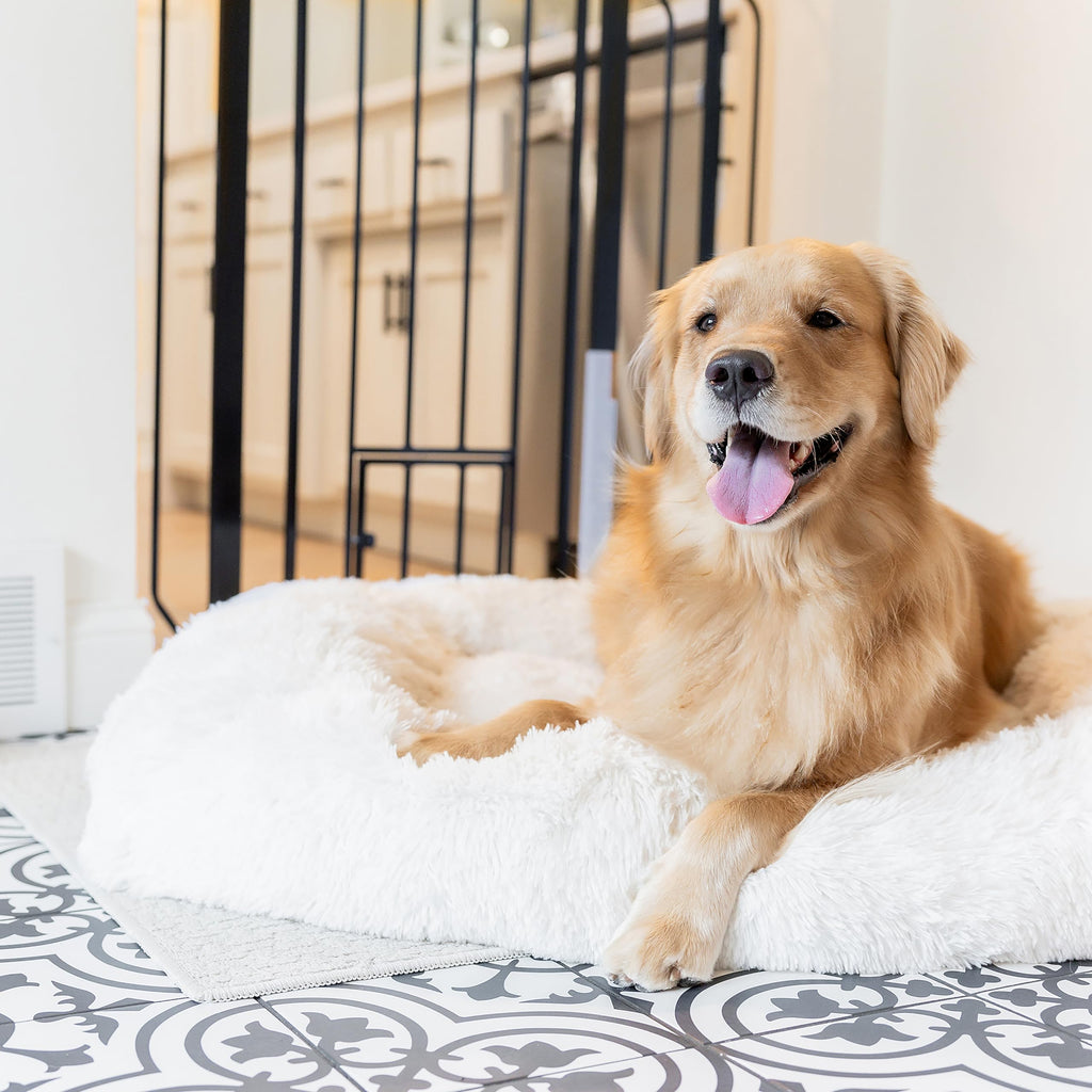Extra Wide Metal Pet Safety Gate with Small Pet Door