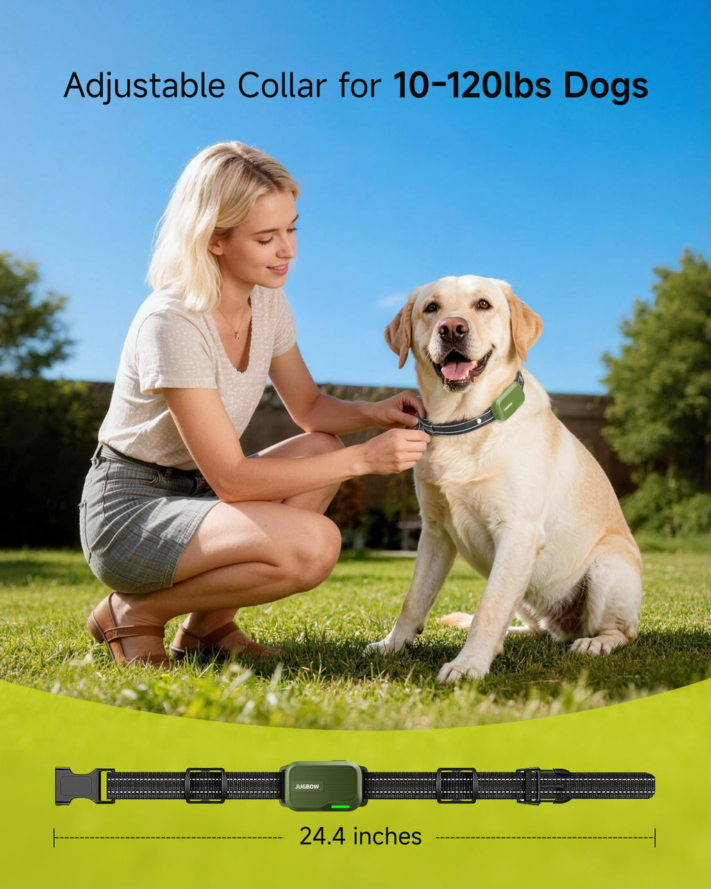 Waterproof Dog Training Collar with Remote and 4 Training Modes