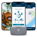 petivity Dog GPS Tracker Powered by Purina, Waterproof Real Time Tracking GPS Dog Collar, Downloadable App, Subscription Required