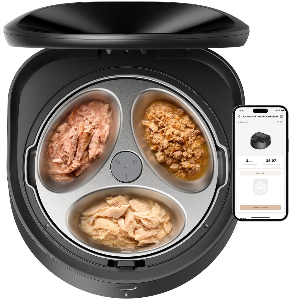 Refrigerated Automatic Cat Feeder with Stainless Steel Bowl