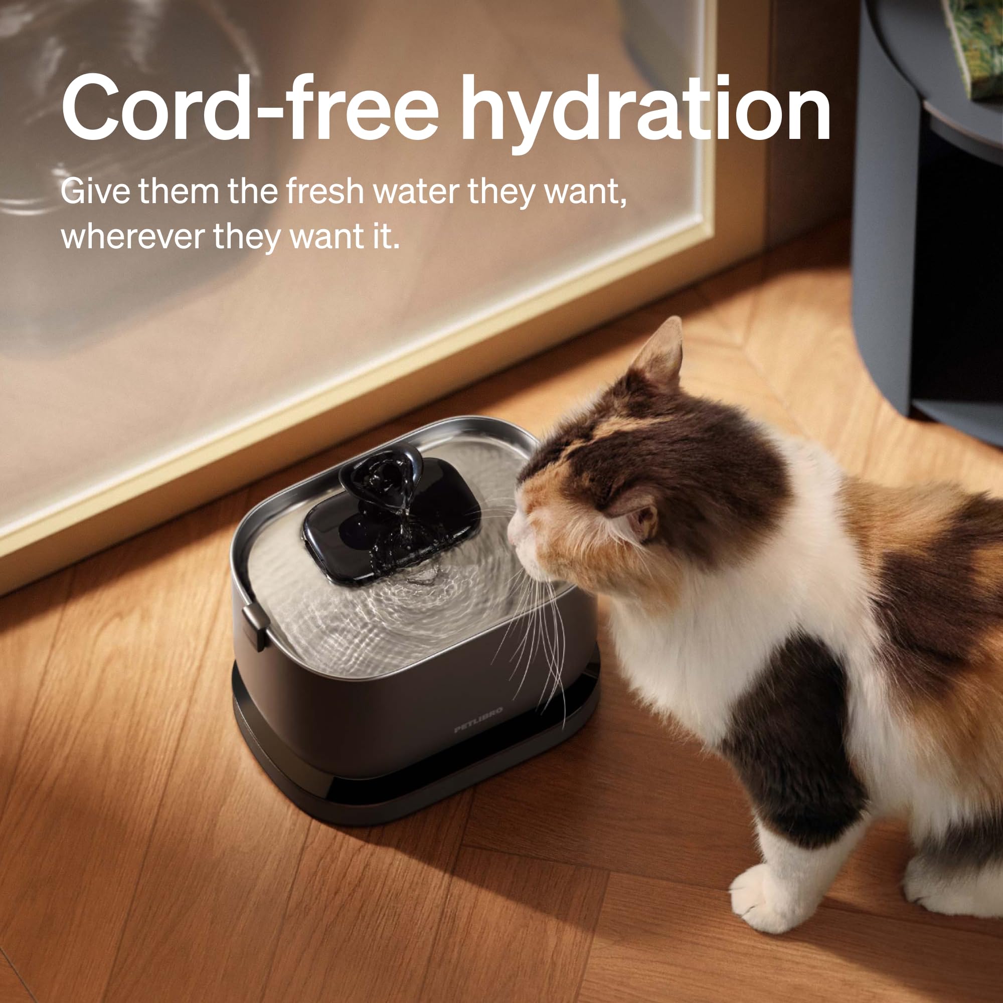Smart Self Cleaning Litter Box with AI Monitoring and Water Fountain