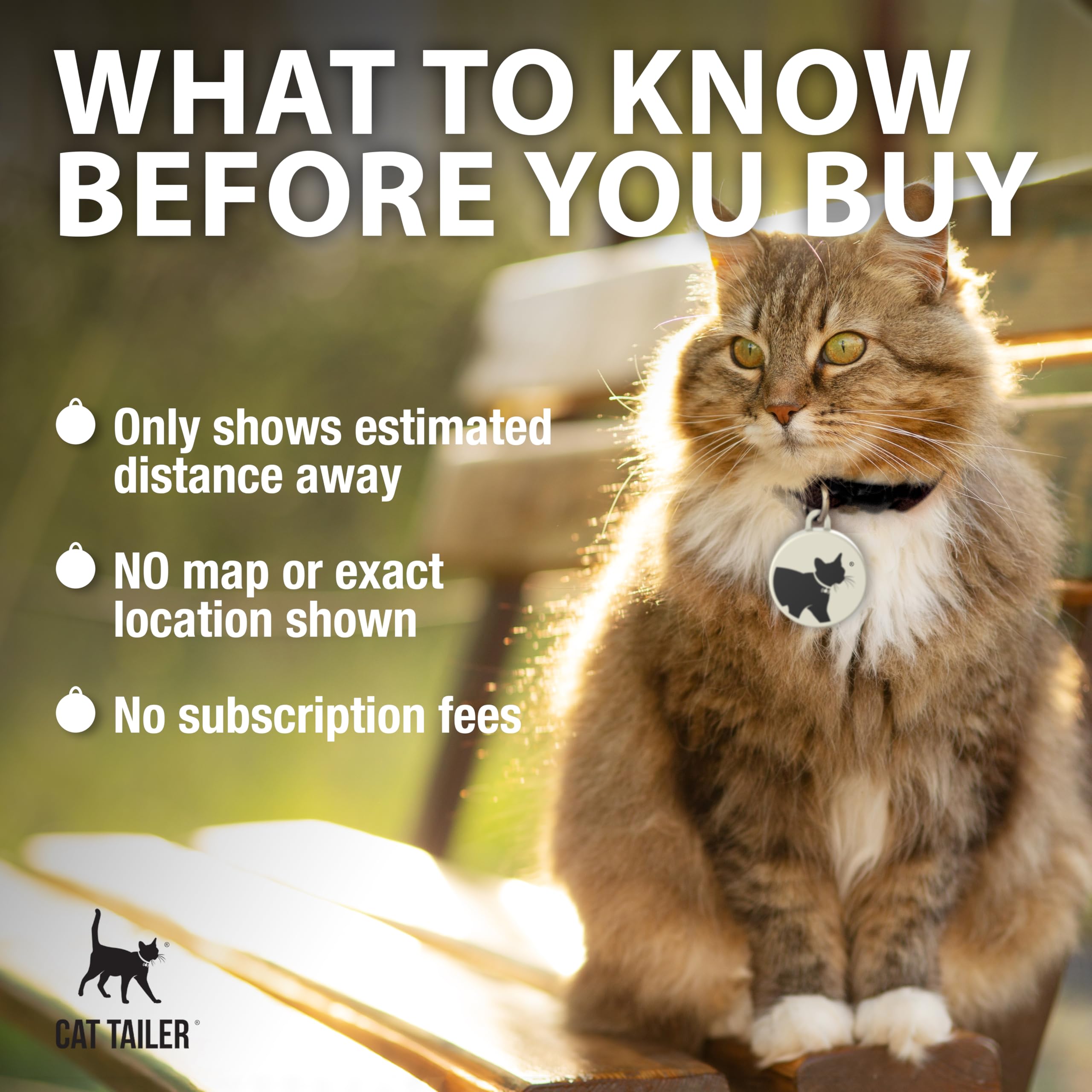 Waterproof Bluetooth Pet Tracker with Lightweight Collar Attachment