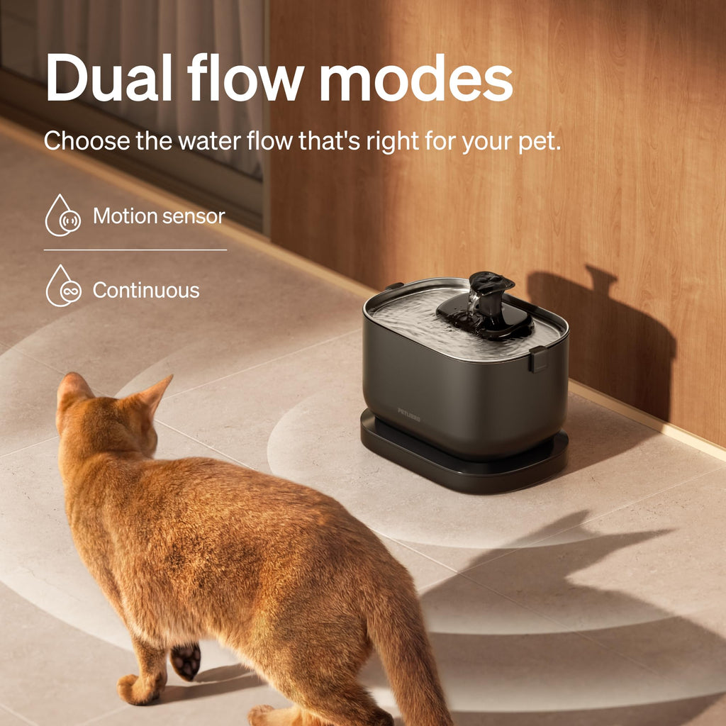 Smart Self Cleaning Litter Box with AI Monitoring and Water Fountain