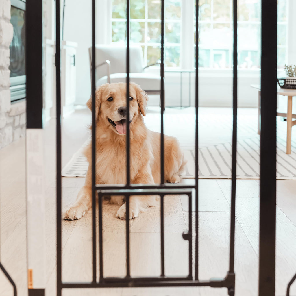 Extra Wide Metal Pet Safety Gate with Small Pet Door