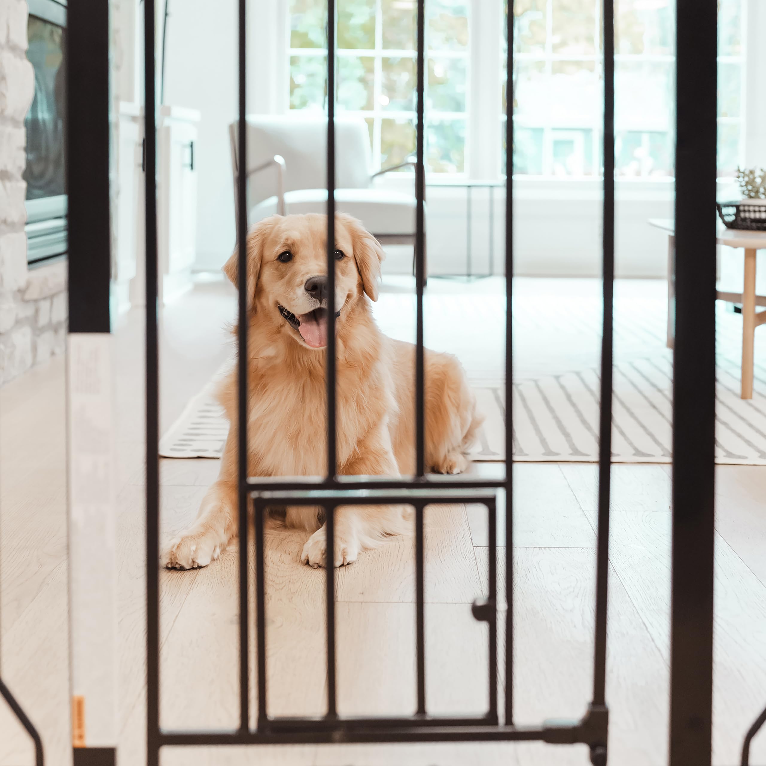 Extra Wide Metal Pet Safety Gate with Small Pet Door
