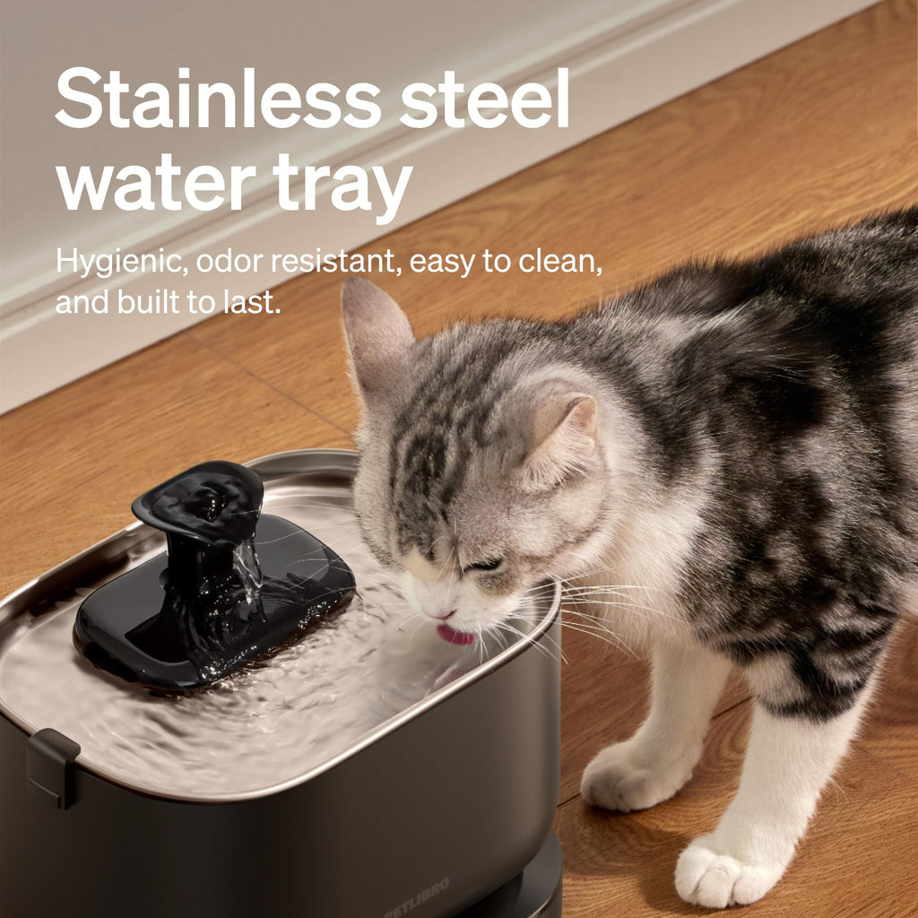 Smart Self Cleaning Litter Box with AI Monitoring and Water Fountain