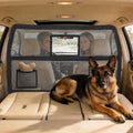 benut Dog Car Barrier with Window & Steel Frame