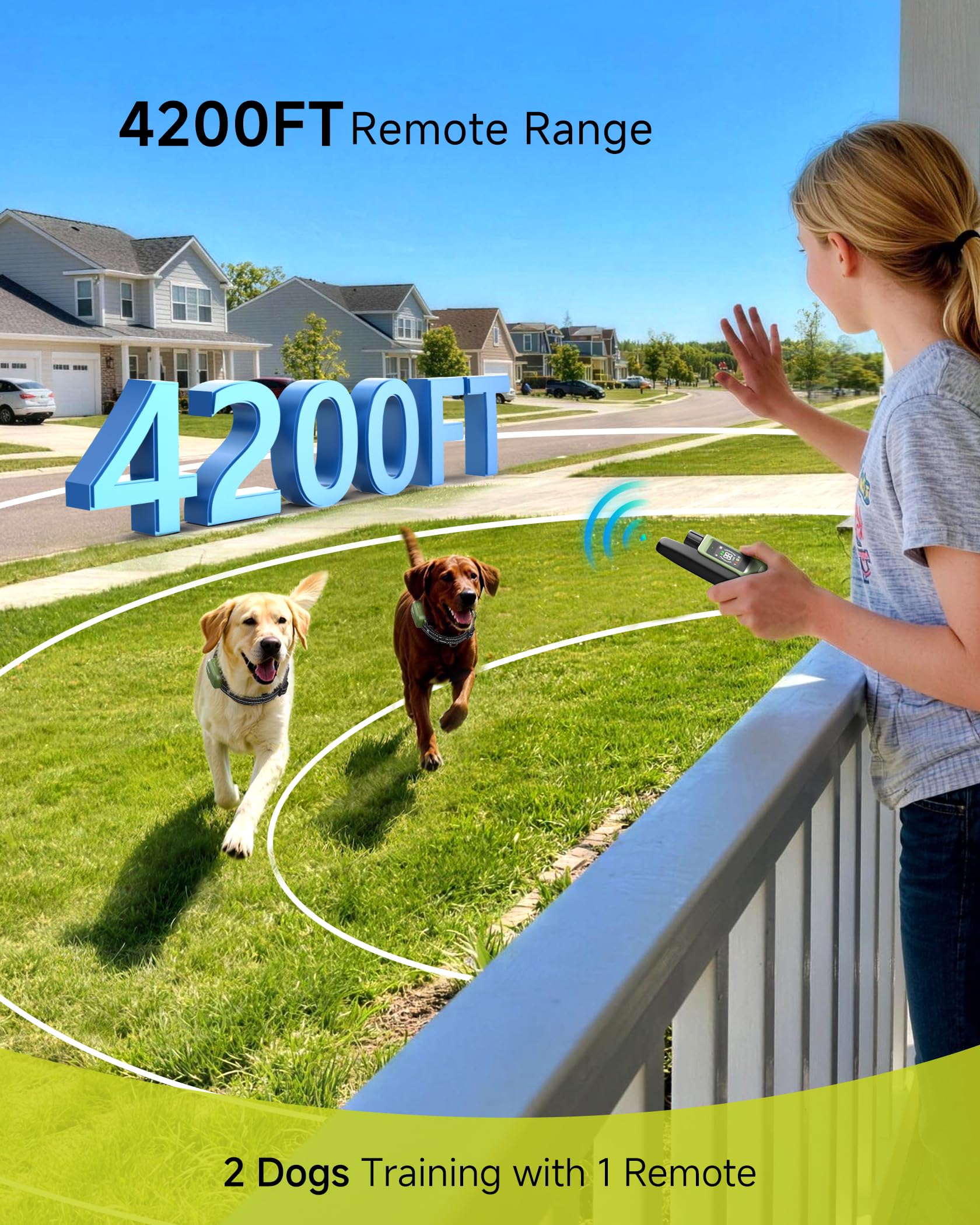 Waterproof Dog Training Collar with Remote and 4 Training Modes