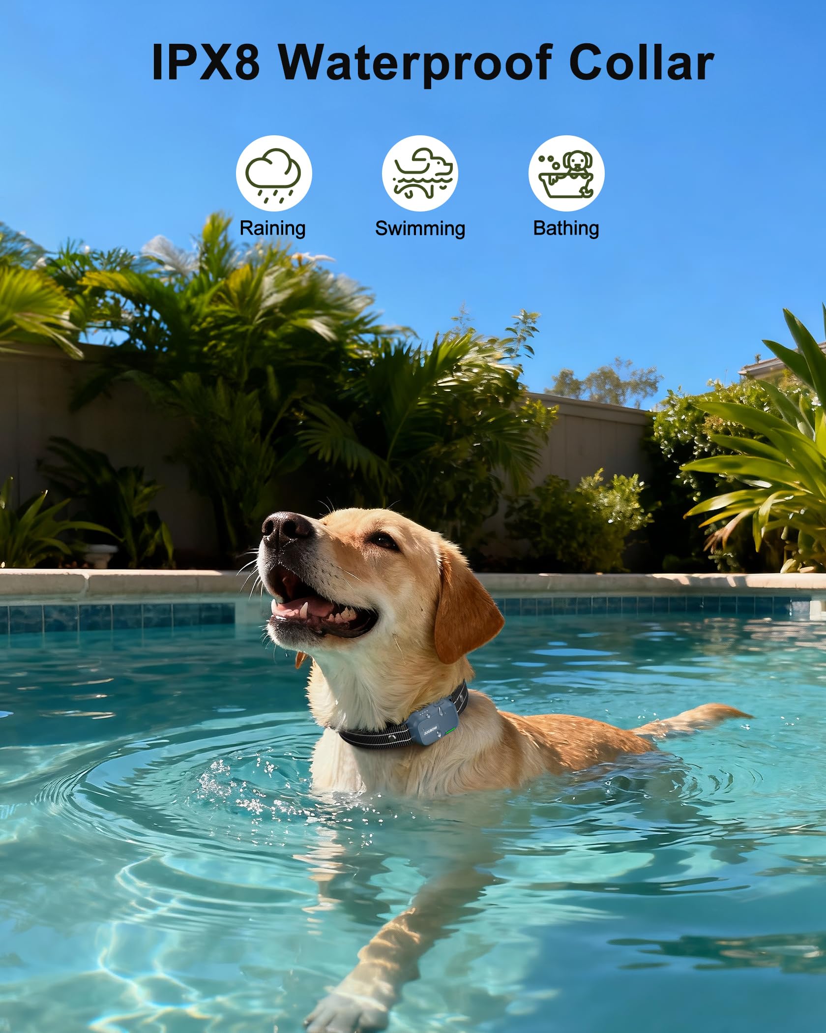 Waterproof Dog Training Collar with Remote and Multiple Training Modes