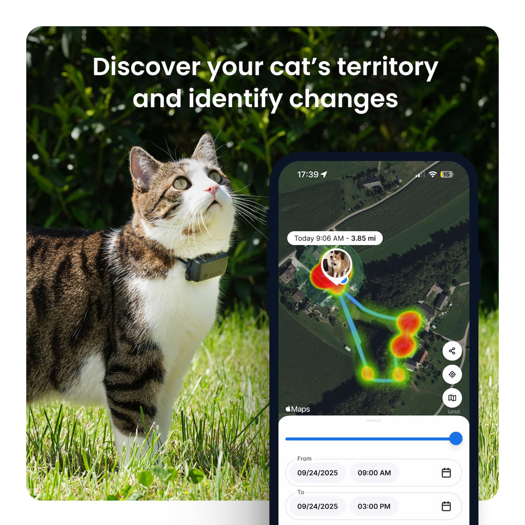 Smart Cat GPS Tracker with Real-Time Location and Wellness Monitoring