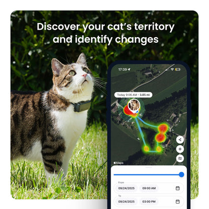 Smart Cat GPS Tracker with Real-Time Location and Wellness Monitoring