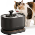 Smart Stainless Steel Pet Water Fountain with App Monitoring