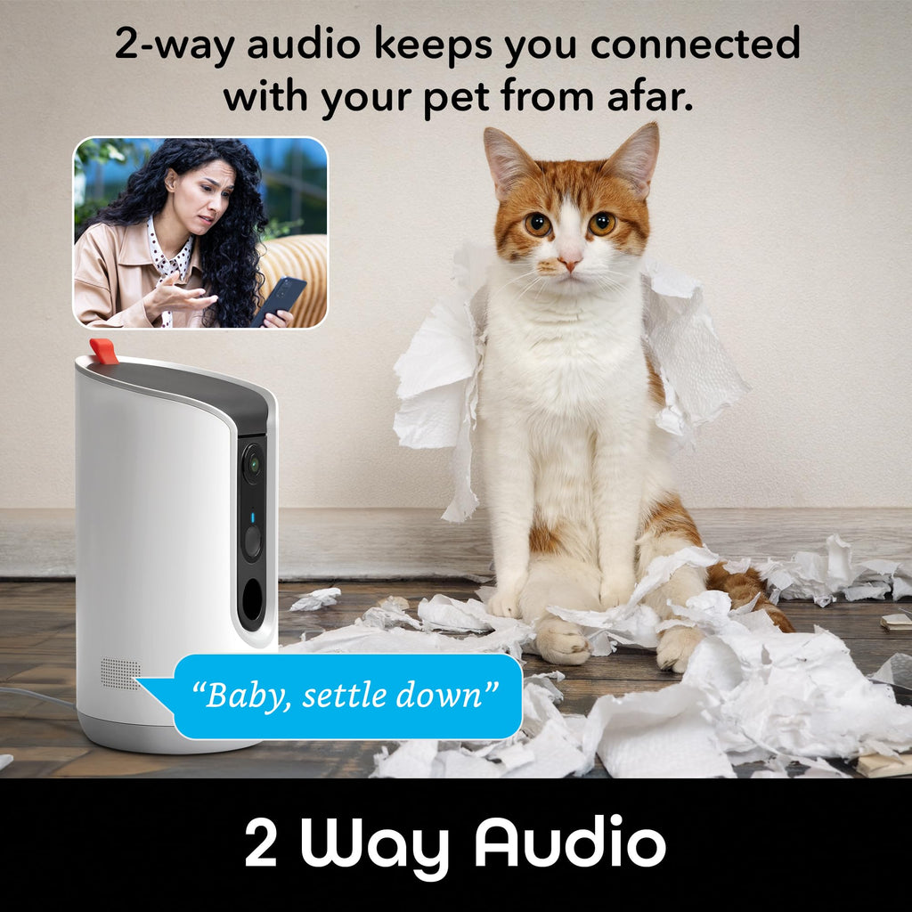 Geeni Pet Treat Dispenser with Camera