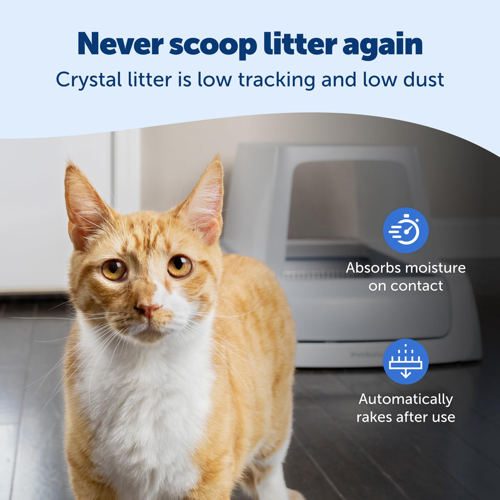 Smart Automatic Litter Box with Health Monitoring and App Control