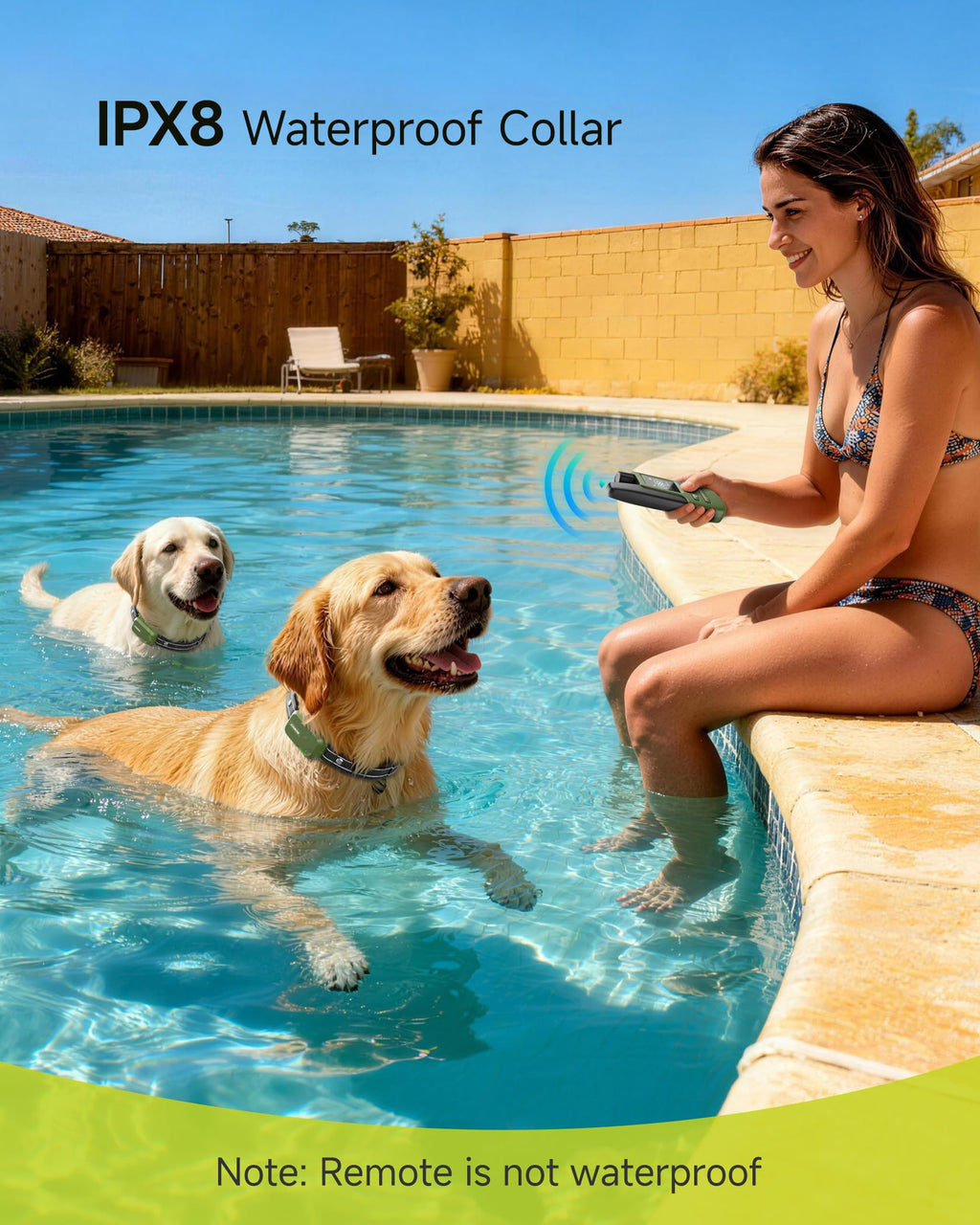 Waterproof Dog Training Collar with Remote and 4 Training Modes
