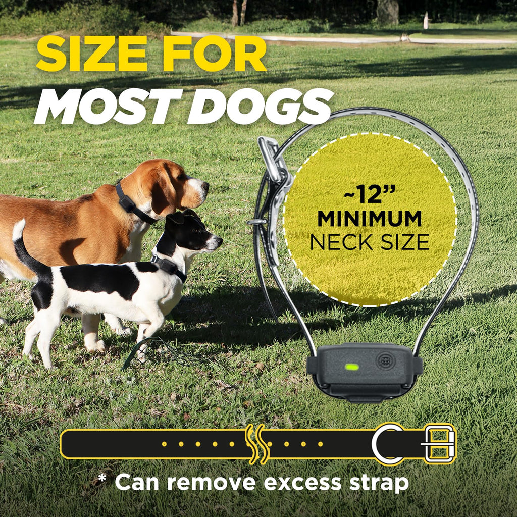 Rechargeable Vibration Anti Bark Dog Collar with Precision Sensor