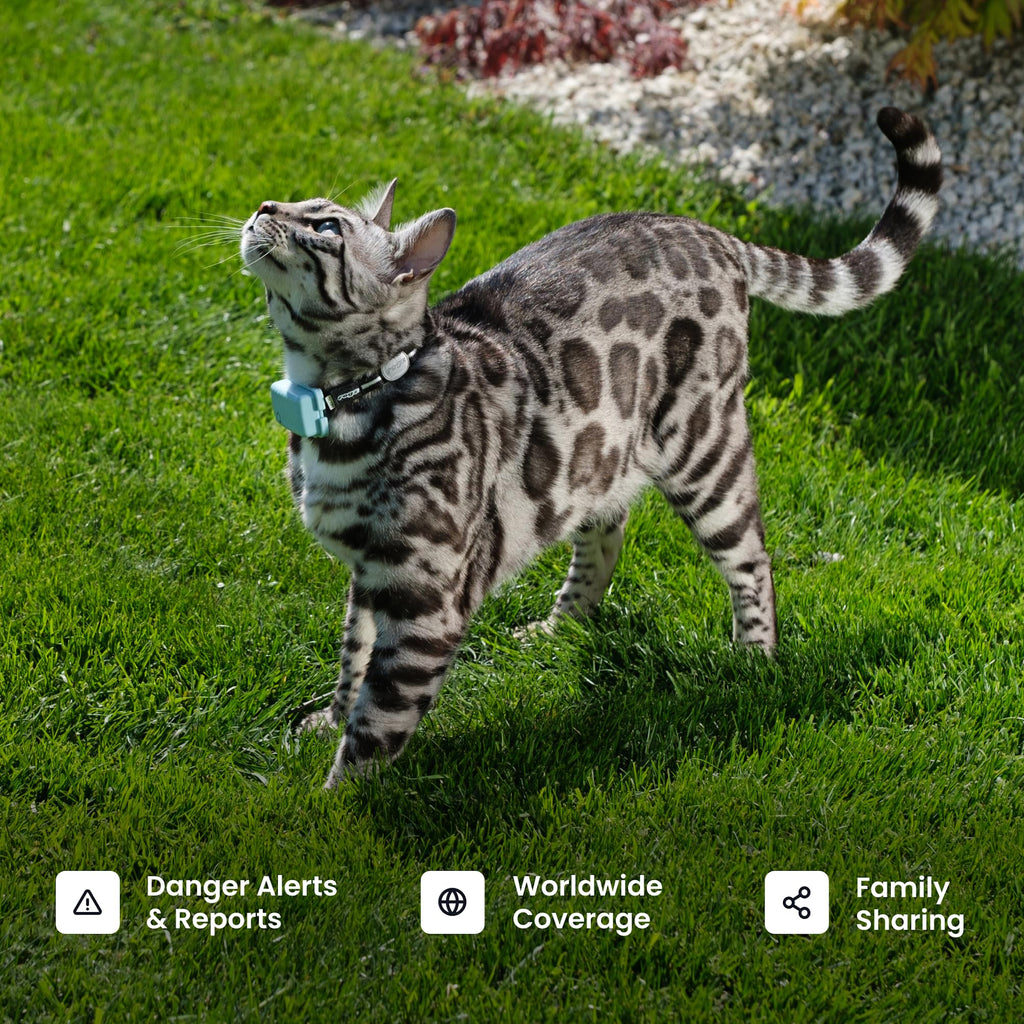 Smart GPS Pet Tracker with Real-Time Location Monitoring