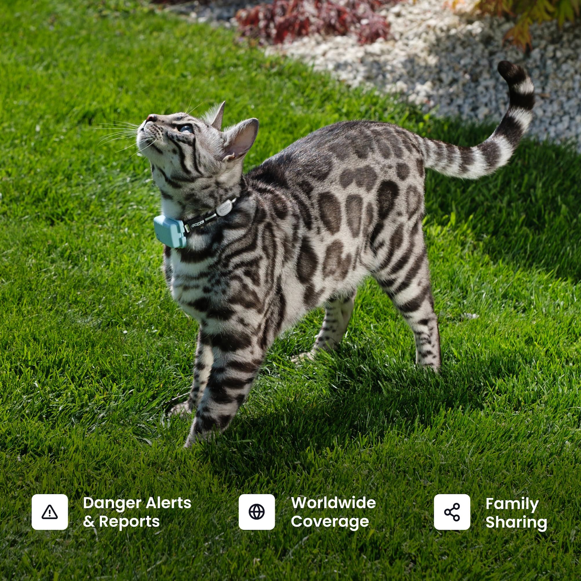 Smart GPS Pet Tracker with Real-Time Location Monitoring