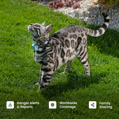 Smart GPS Pet Tracker with Real-Time Location Monitoring
