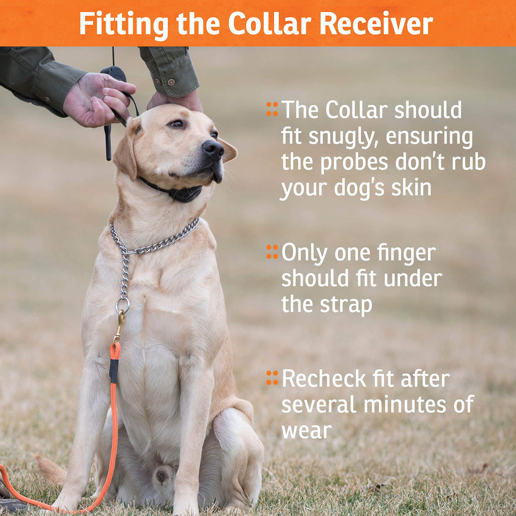 SportDOG NoBark collar